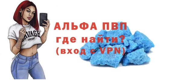 крисы Зерноград