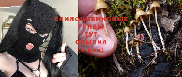 не бодяженный Заводоуковск
